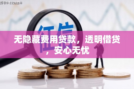 巴楚无隐藏费用贷款，透明借贷，安心无忧