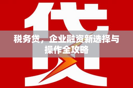 邵阳税务贷，企业融资新选择与操作全攻略