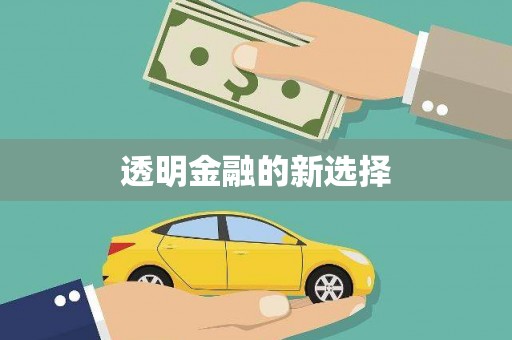庄浪透明金融的新选择