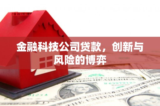 水林金融科技公司贷款，创新与风险的博弈