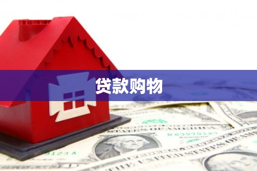 成县贷款购物