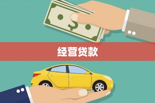 民丰经营贷款