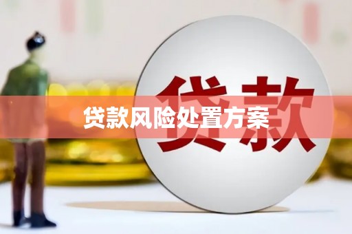 铜山贷款风险处置方案