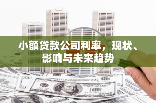 隆子小额贷款公司利率，现状、影响与未来趋势