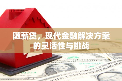 分宜随薪贷，现代金融解决方案的灵活性与挑战