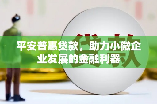 赫山平安普惠贷款，助力小微企业发展的金融利器