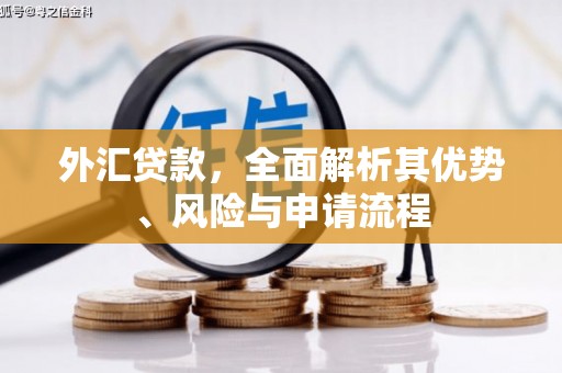 额济纳旗外汇贷款，全面解析其优势、风险与申请流程