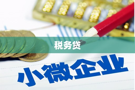 通道税务贷
