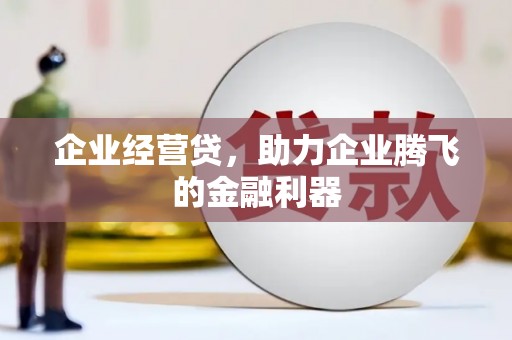 浪卡子企业经营贷，助力企业腾飞的金融利器