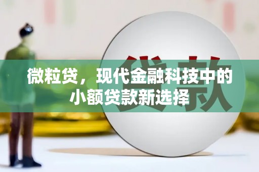 于田微粒贷，现代金融科技中的小额贷款新选择