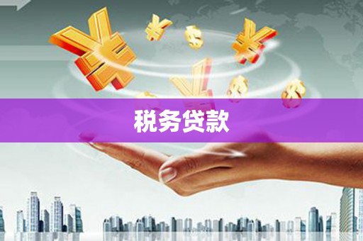 通江税务贷款