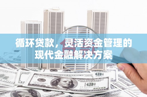 巴里坤循环贷款，灵活资金管理的现代金融解决方案