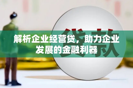 沙鹿解析企业经营贷，助力企业发展的金融利器