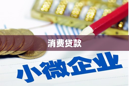洛扎消费贷款