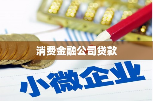 温岭消费金融公司贷款