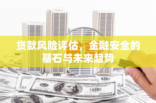 文成贷款风险评估，金融安全的基石与未来趋势