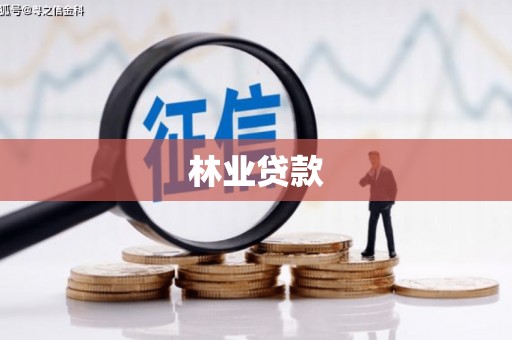 德钦林业贷款