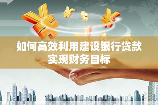 玄武如何高效利用建设银行贷款实现财务目标