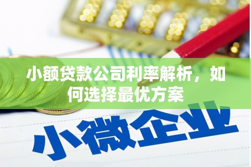 漳州小额贷款公司利率解析，如何选择最优方案