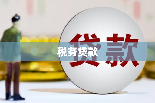 丰县税务贷款