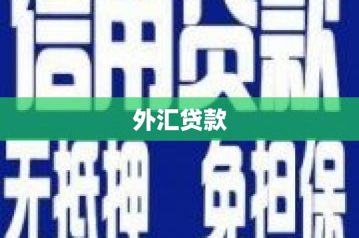 双溪外汇贷款