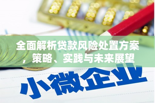 渭源全面解析贷款风险处置方案，策略、实践与未来展望