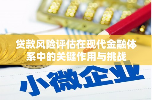 施甸贷款风险评估在现代金融体系中的关键作用与挑战