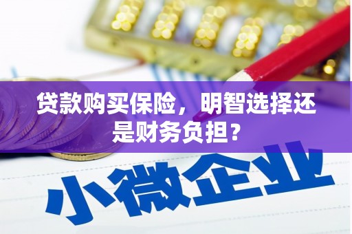 竹南贷款购买保险，明智选择还是财务负担？