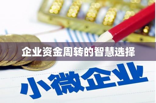 雁塔企业资金周转的智慧选择