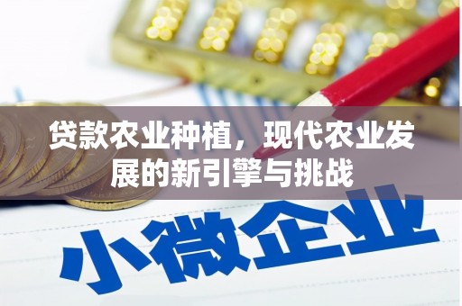 凤台贷款农业种植，现代农业发展的新引擎与挑战