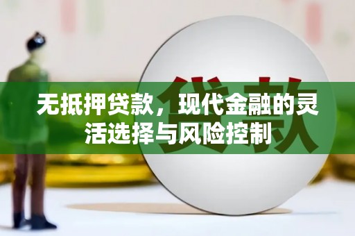 定安无抵押贷款，现代金融的灵活选择与风险控制