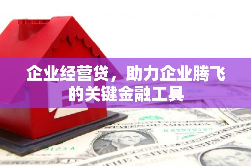 新河企业经营贷，助力企业腾飞的关键金融工具