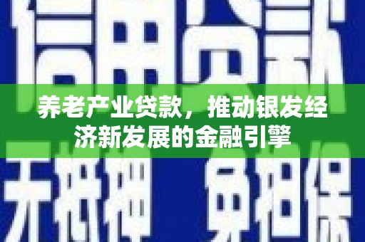旬阳养老产业贷款，推动银发经济新发展的金融引擎