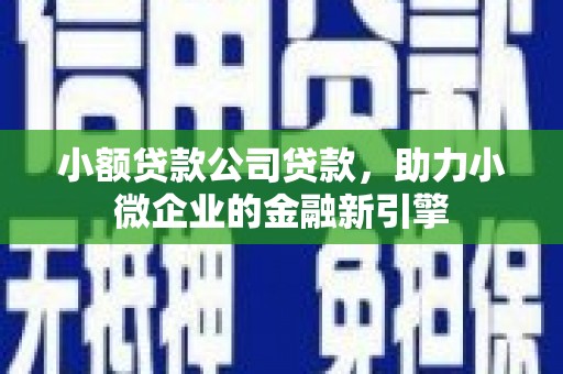 图木舒克小额贷款公司贷款，助力小微企业的金融新引擎