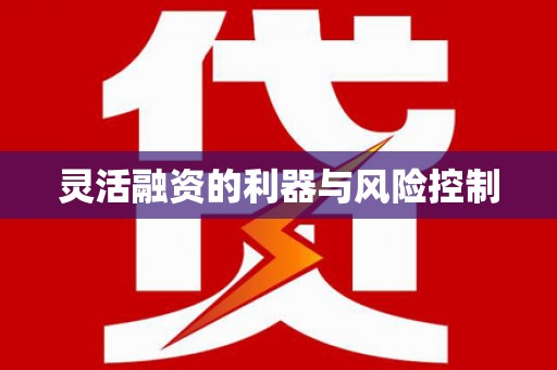 岳池灵活融资的利器与风险控制
