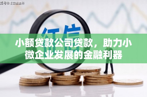 安陆小额贷款公司贷款，助力小微企业发展的金融利器