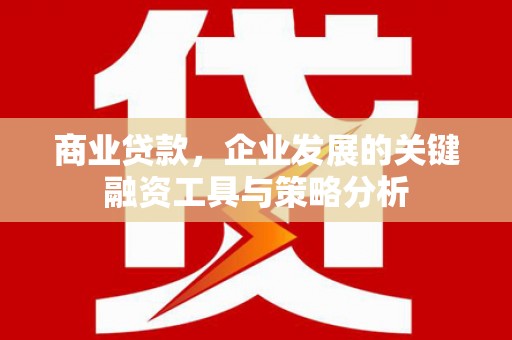 那曲商业贷款，企业发展的关键融资工具与策略分析