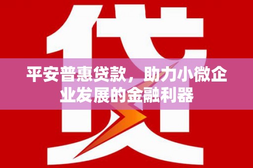 宁南平安普惠贷款，助力小微企业发展的金融利器