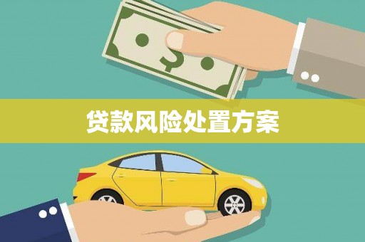汕尾贷款风险处置方案