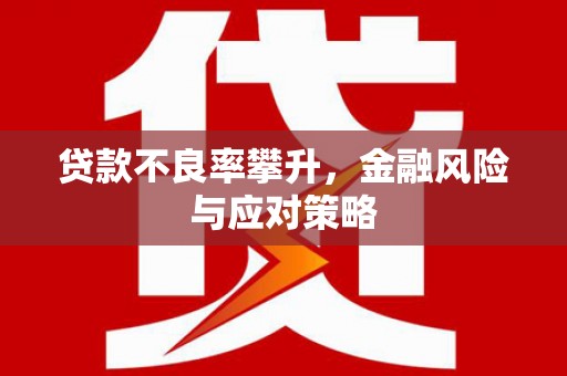 南丰贷款不良率攀升，金融风险与应对策略