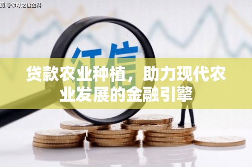 漠河贷款农业种植，助力现代农业发展的金融引擎