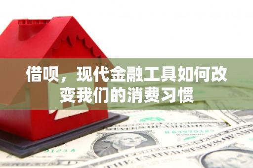临猗借呗，现代金融工具如何改变我们的消费习惯