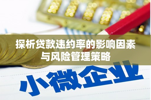 磁县探析贷款违约率的影响因素与风险管理策略