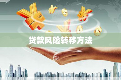 石家庄贷款风险转移方法