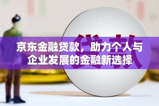港南京东金融贷款，助力个人与企业发展的金融新选择