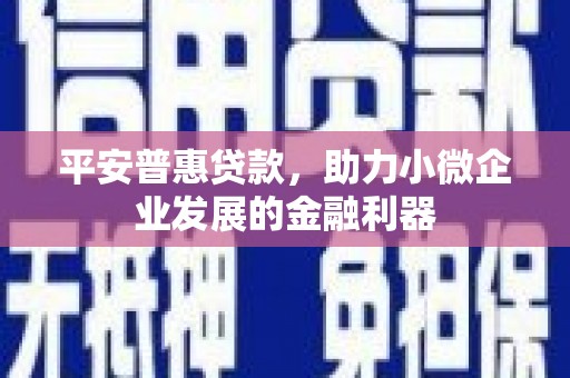 弋江平安普惠贷款，助力小微企业发展的金融利器