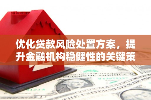 交口优化贷款风险处置方案，提升金融机构稳健性的关键策略