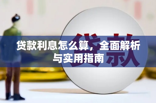 苍南贷款利息怎么算，全面解析与实用指南