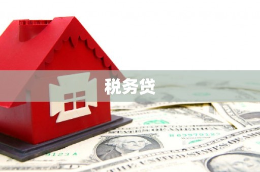 红寺堡税务贷