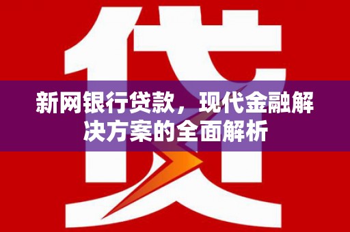 三元新网银行贷款，现代金融解决方案的全面解析